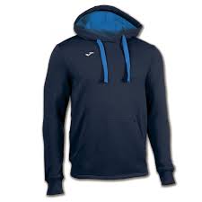 Sweat à capuche 100445.331