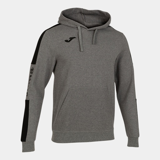 Sweat à capuche 102238.281